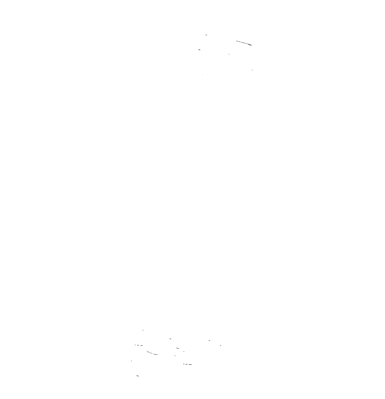 One Ocean Films | Dive into the amazing underwater world and open your eyes to the wonders beneath the waves!